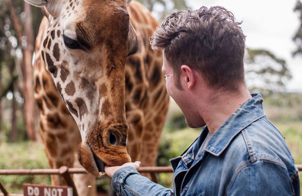 giraffe-centre-day-tour