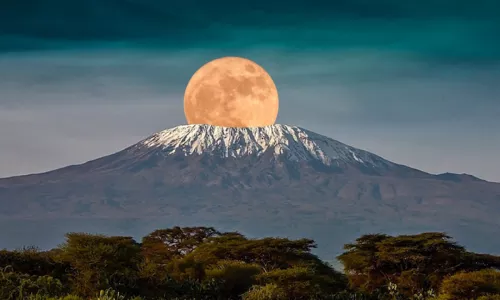 https://untamed.webscreationsdesign.co.uk/6-days-mount-kilimanjaro-umbwe-route/
