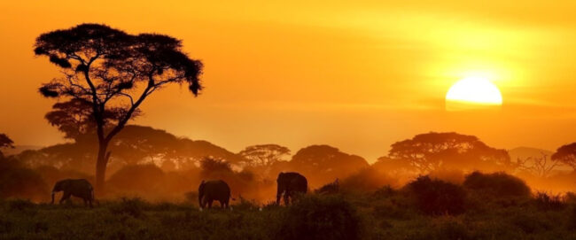 Amboseli National Park