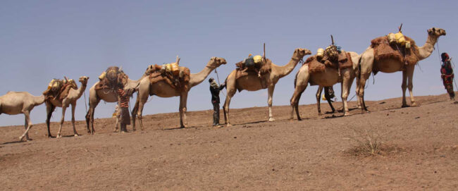 Marsabit National Park & Reserve